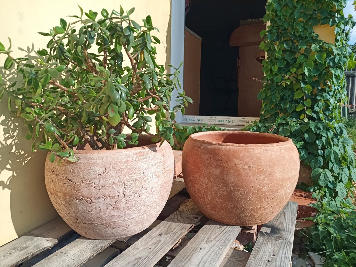 Готовые вазоны.