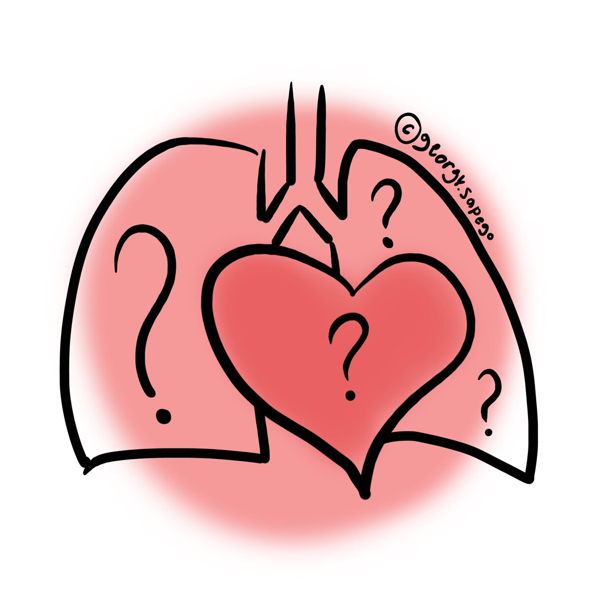 Легкие и сердце