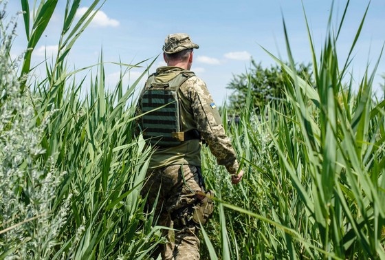    Вооруженные силы Украины