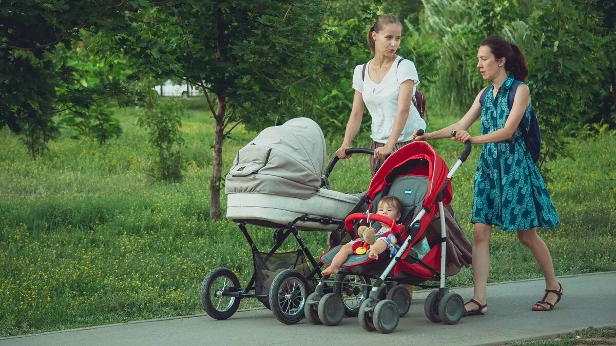     Источник: novostivolgograda.ru