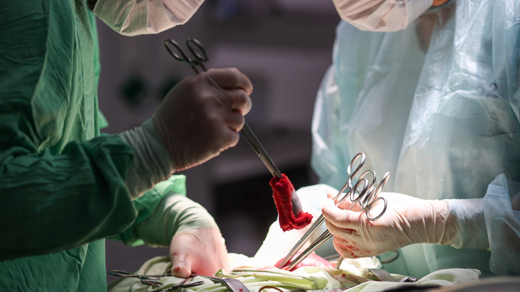    Belkin Alexey/Globallookpress