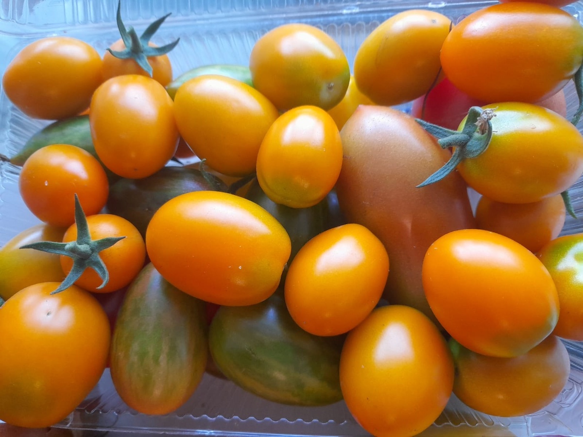 Первый сбор 20.07.