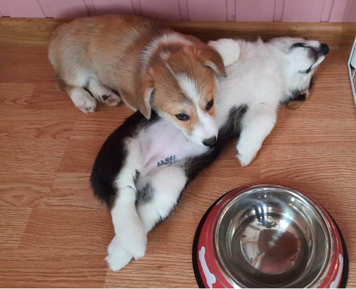 Сестрички Мэри и Мэгги 💕