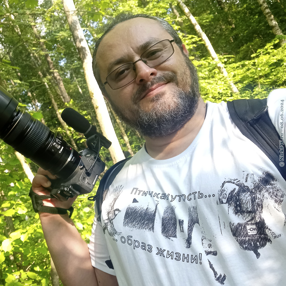 2. Я и моя "Птичканутость" в Ульяновском лесопарке © NickFW.ru — 08.06.2023г.