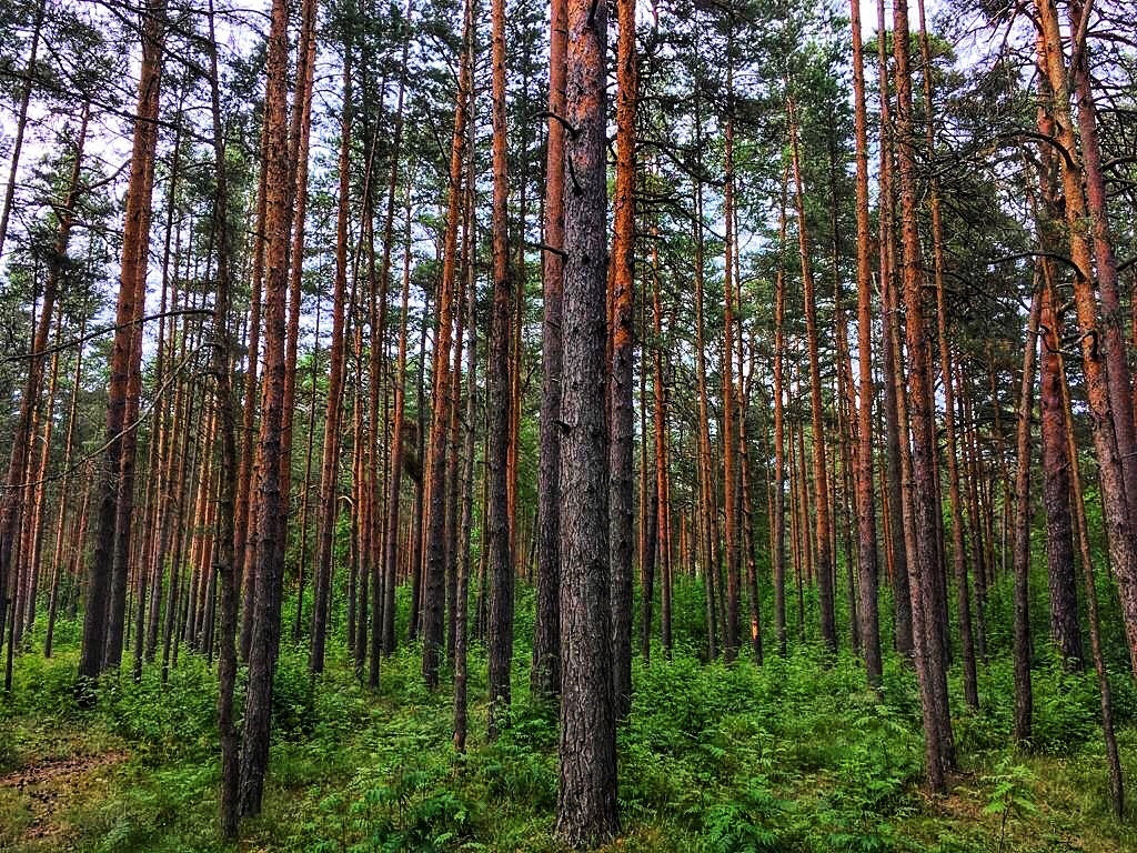 Фото из личного архива 