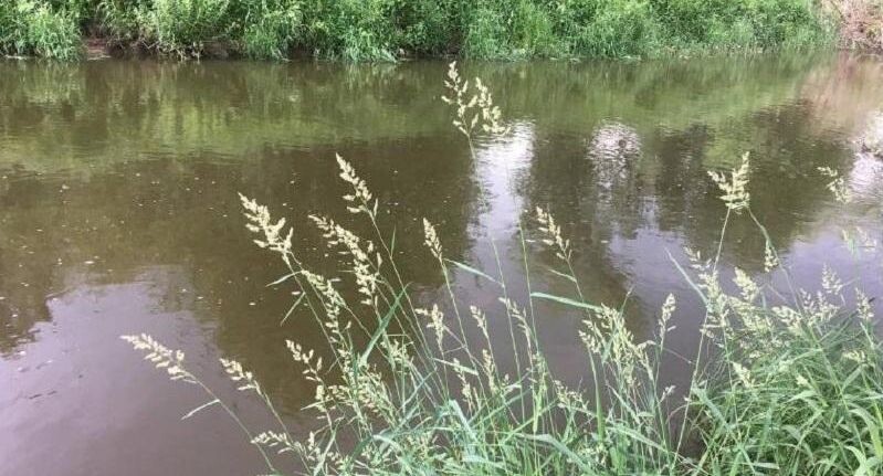    Пресс-служба Министерства экологии и природопользования МО