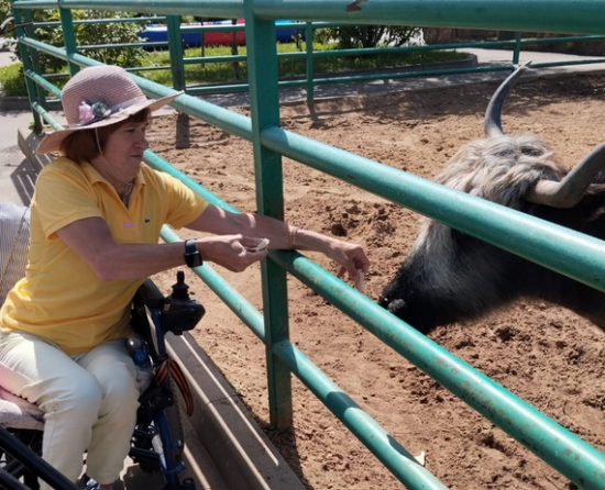    Фото: СД «Обручевский»