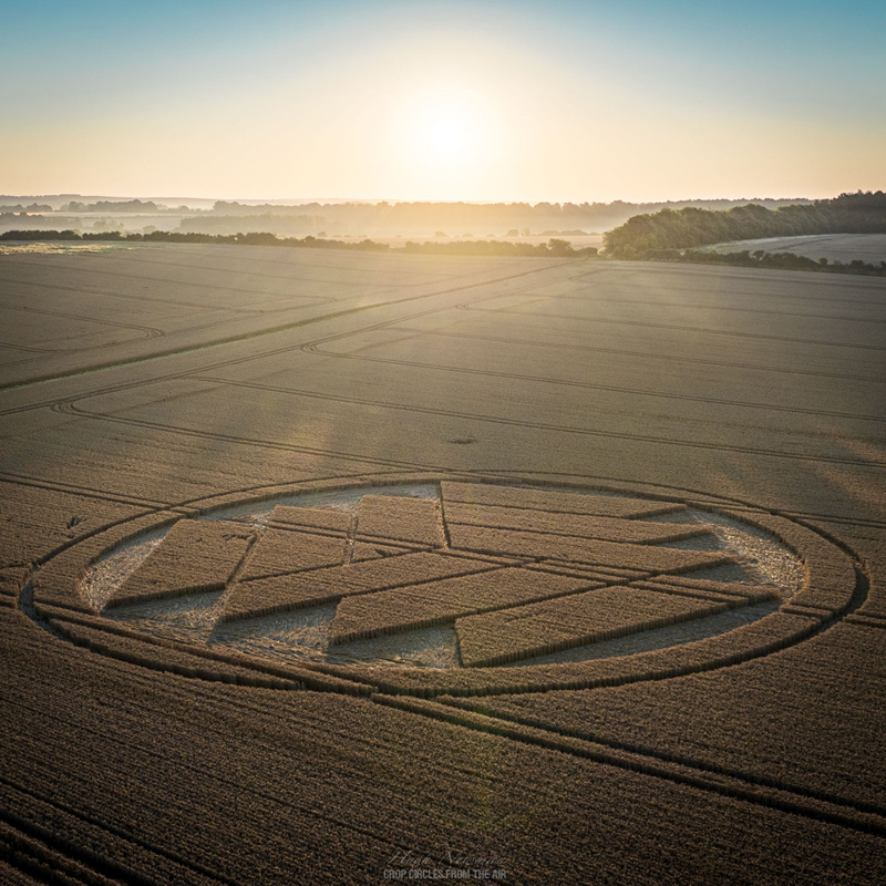 Stoke Charity, Nr Sutton Scotney, Hampshire. Reported 28th July 2024