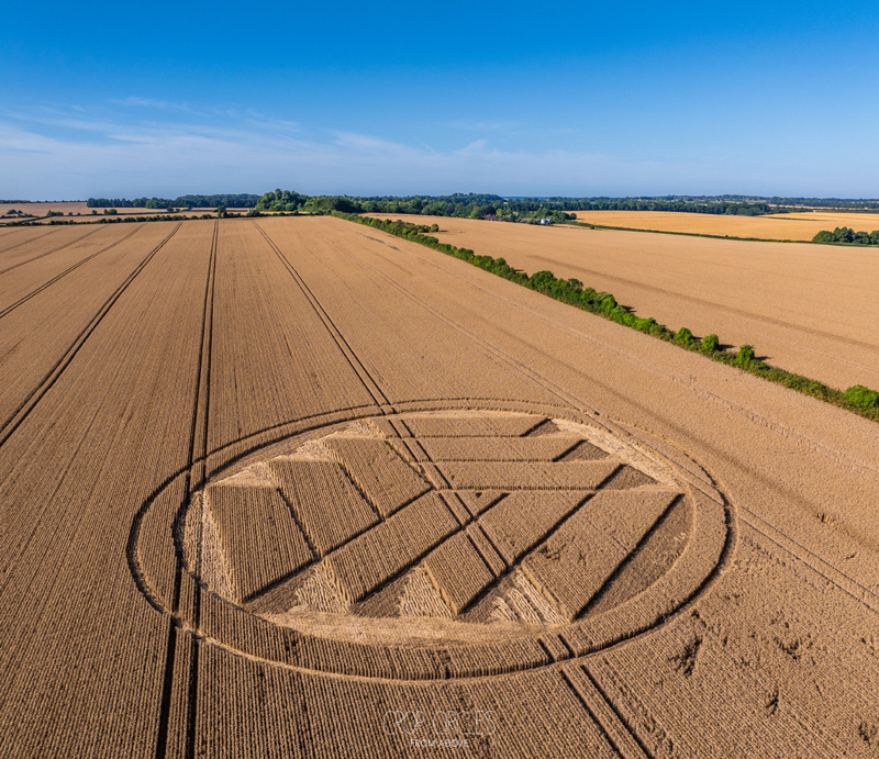 Stoke Charity, Nr Sutton Scotney, Hampshire. Reported 28th July 2024