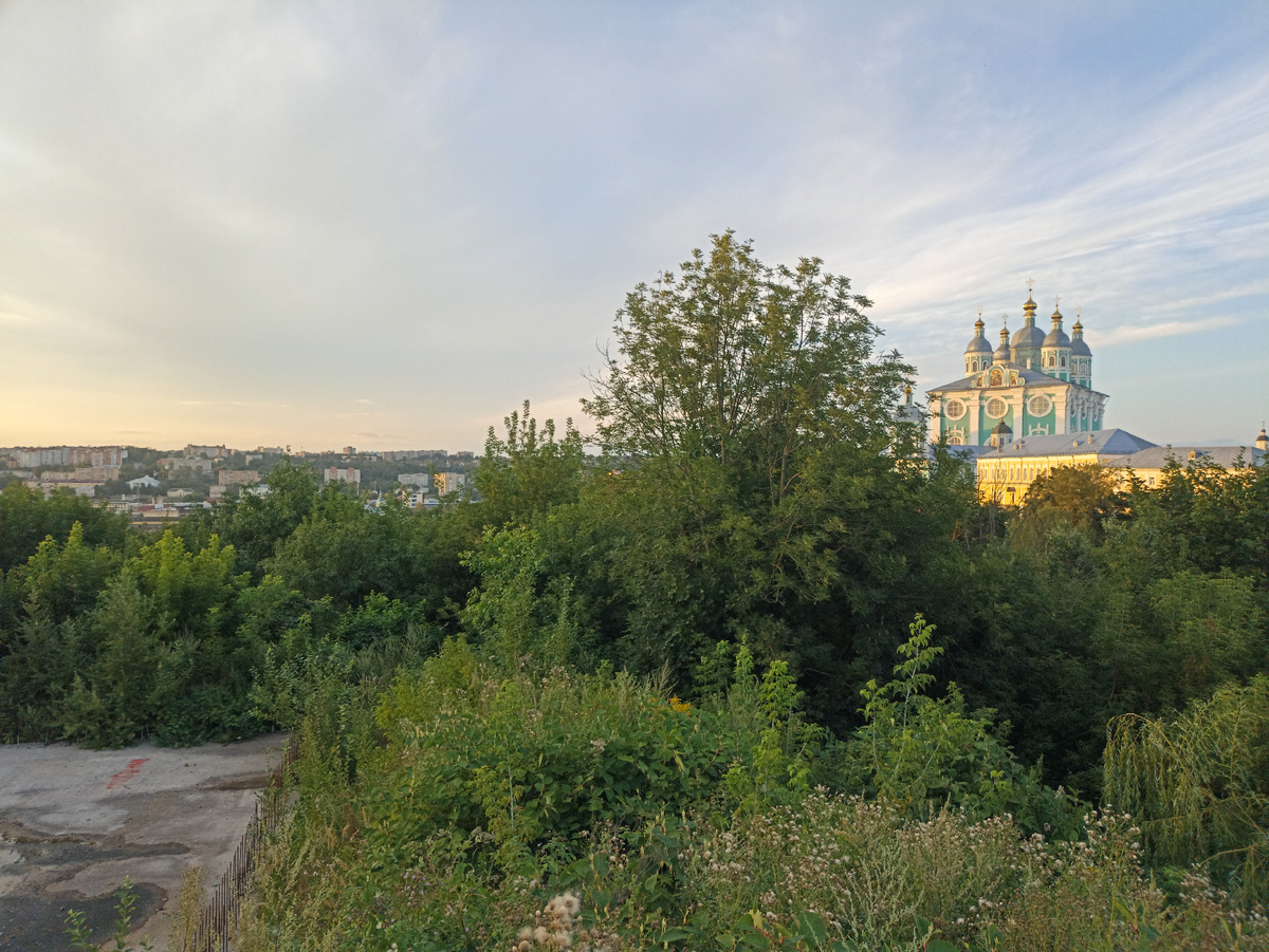 Вид со смотровой площадки на улице Коненкова
