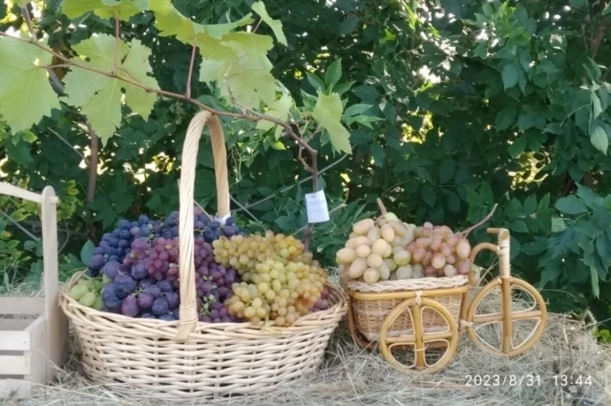    От «Восторга» до «Феномена».