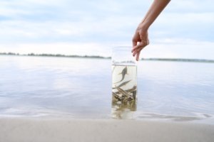    Фото: Саратовский НПЗ