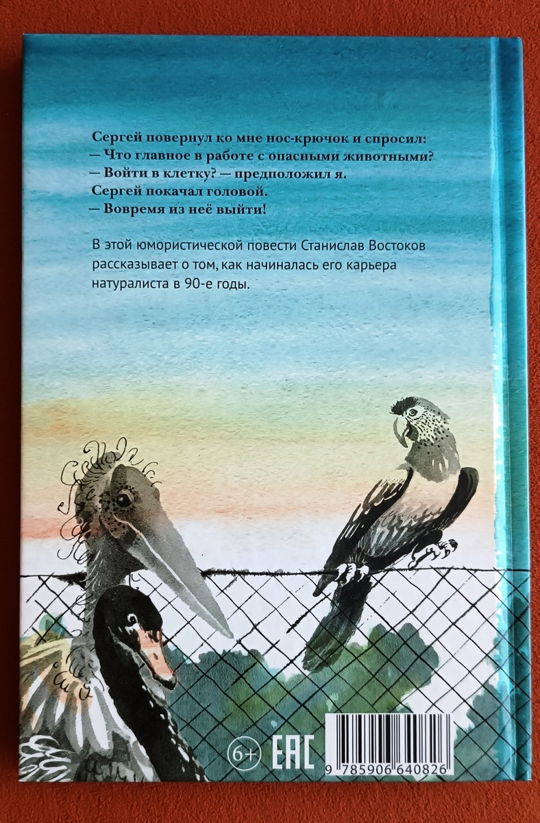 Иллюстрации Веры Цепиловой