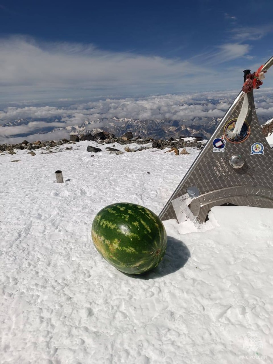    Фото: ЮРПСО МЧС России