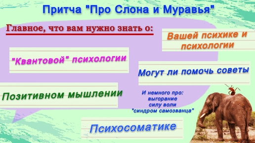 Притча о Слоне и Муравье. О том, как работает наша психика, помогают ли советы и позитивное мышление, где же в нас 