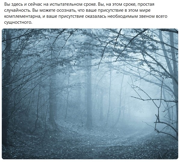 Испытательный срок