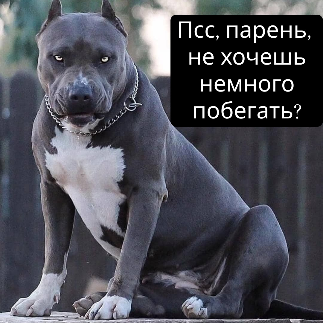 А началось всё с такого предложения :D