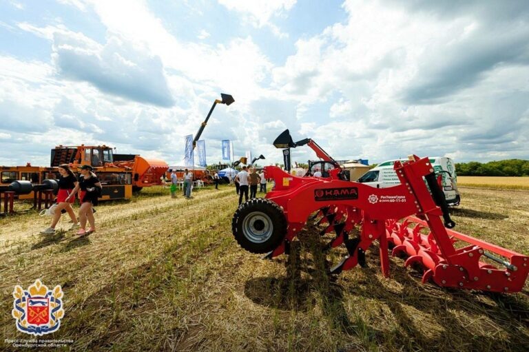    Областной День поля прошел в поселке Пригородный Оренбургского района Белов Михаил Александрович