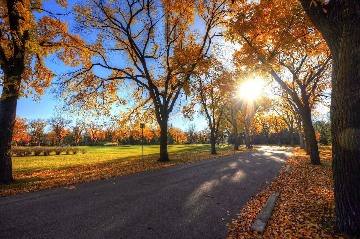 фото из открытых источников интернета, доступное для свободного скачивания.