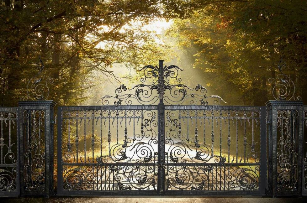 Свободный источник