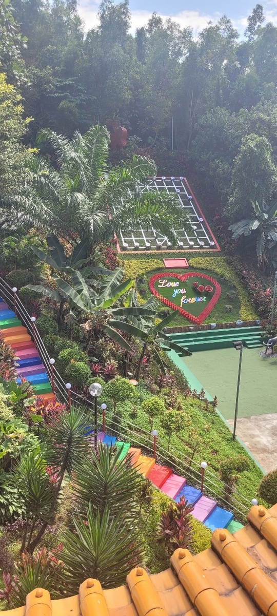 Вид с одной из террас