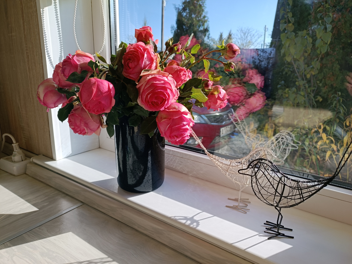 Розы из сада 