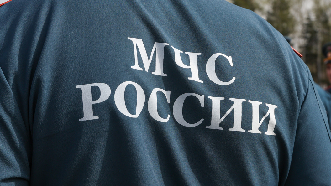    Фото: Petrov Sergey/Globallookpress