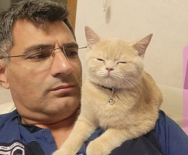 фото из свободного источника 