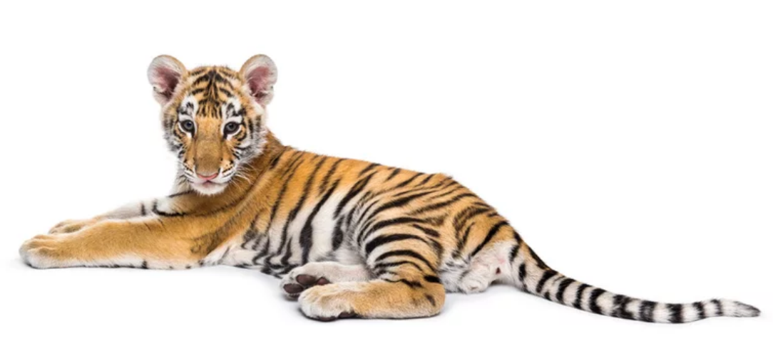 Страх... совсем не страшный