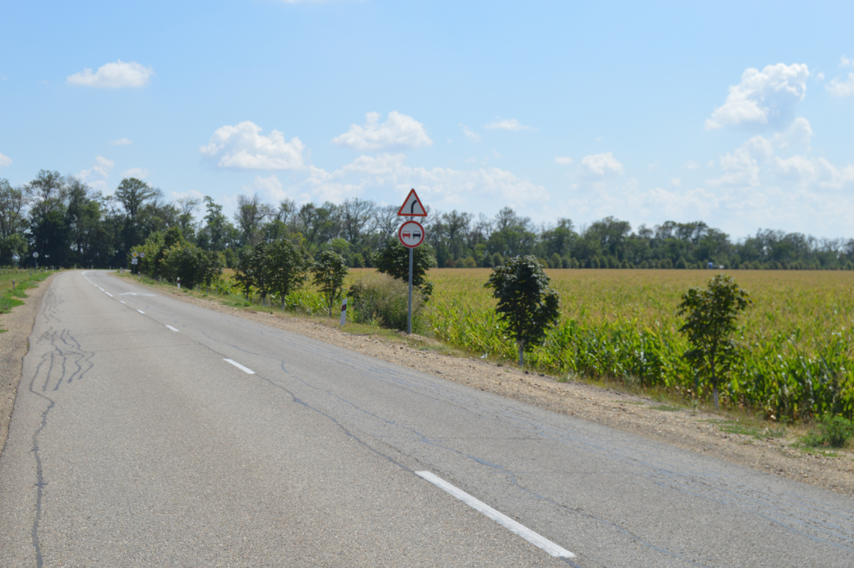 Фото автора. 25.07.2024. Правый поворот, обгон запрещён, справа кукурузное поле!