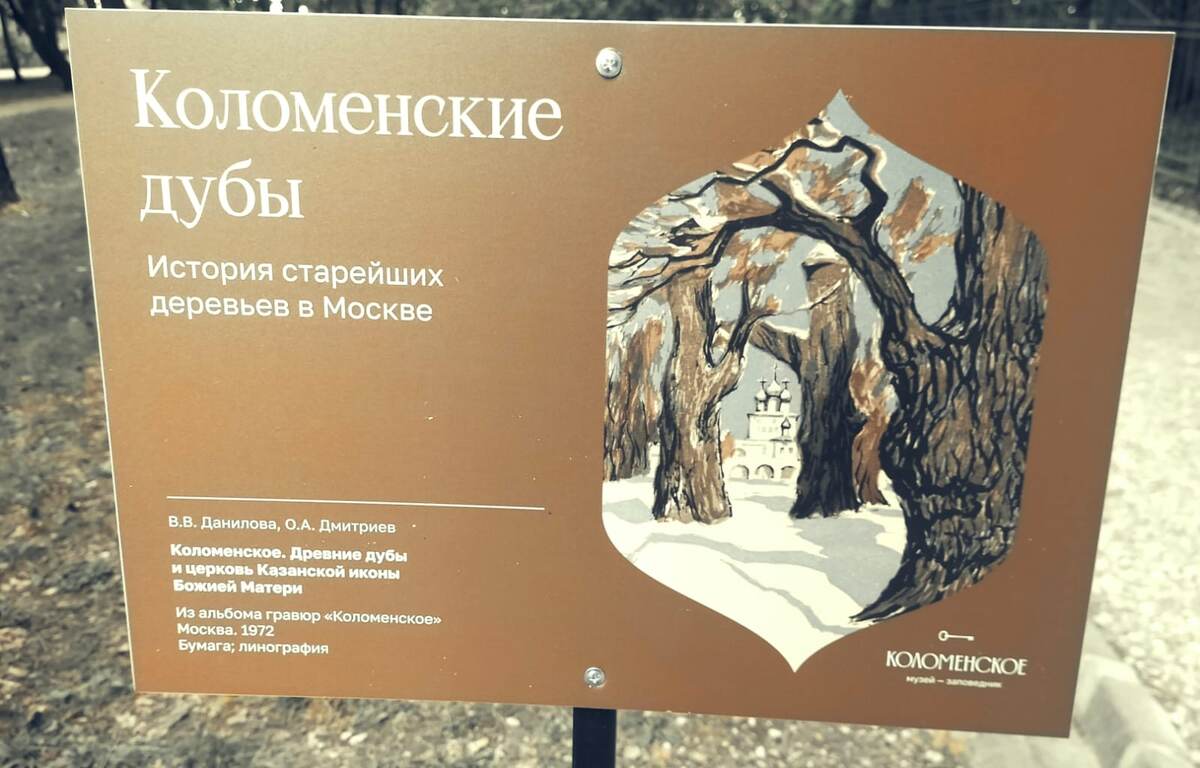 История  Дубовой рощи 