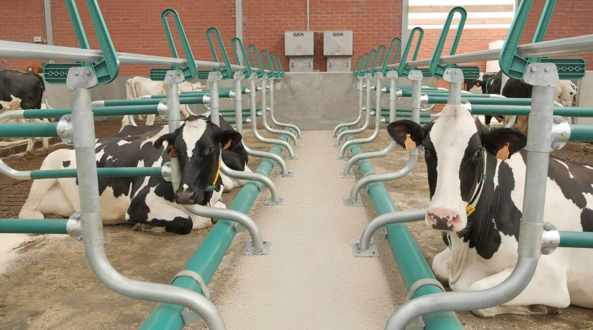 Белгородские корма