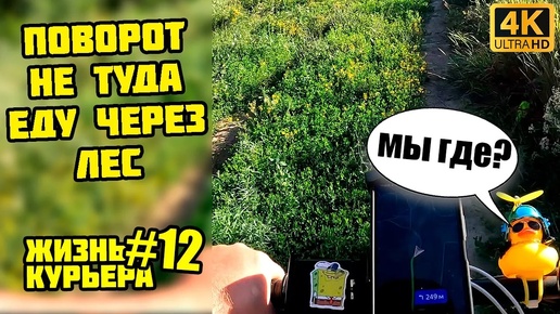 ПОВОРОТ НЕ ТУДА - Яндекс ведет через ЛЕС [ЖИЗНЬ КУРЬЕРА 12] #яндекседа #велосипед #электровелосипед