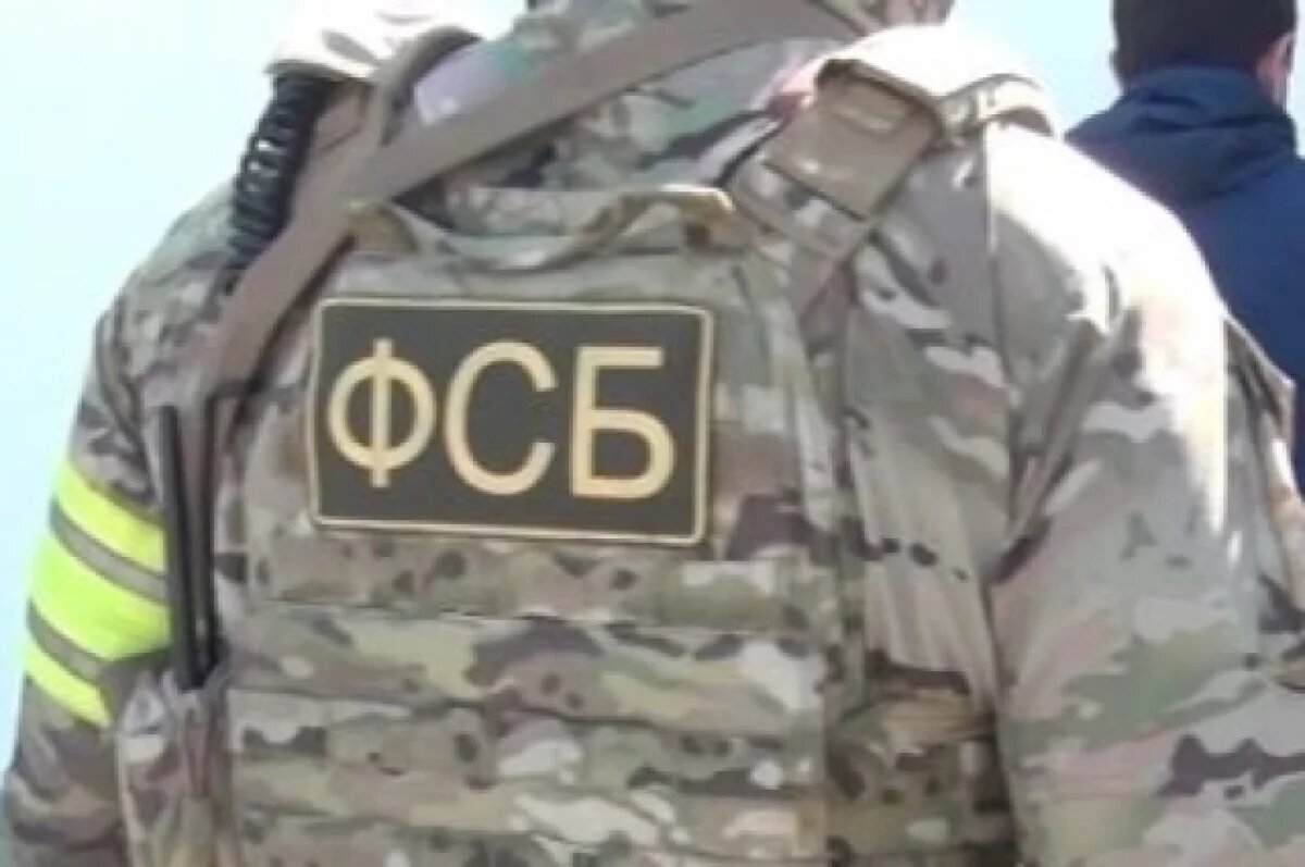    ФСБ показала второе видео обмена заключенными в аэропорту Анкары