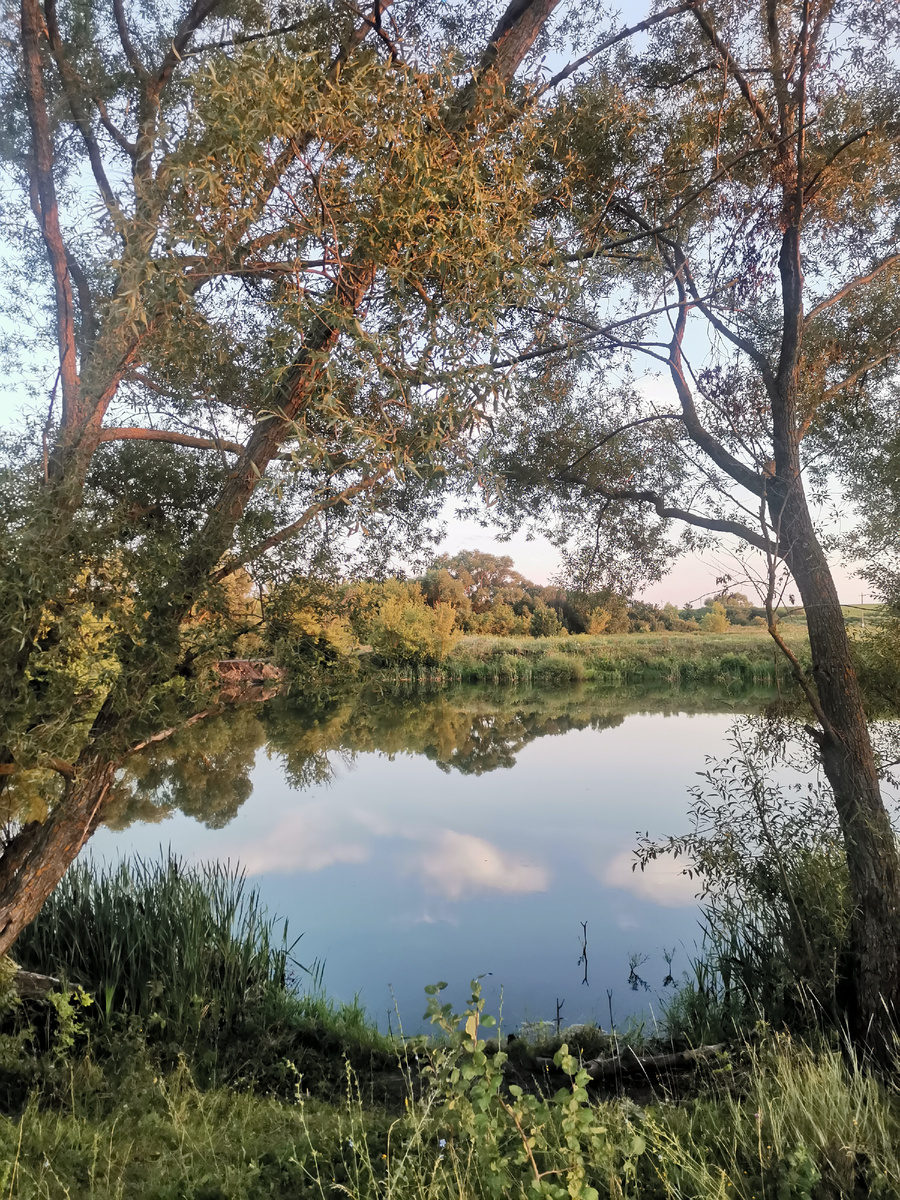 Дивенский район, село Екатериновка