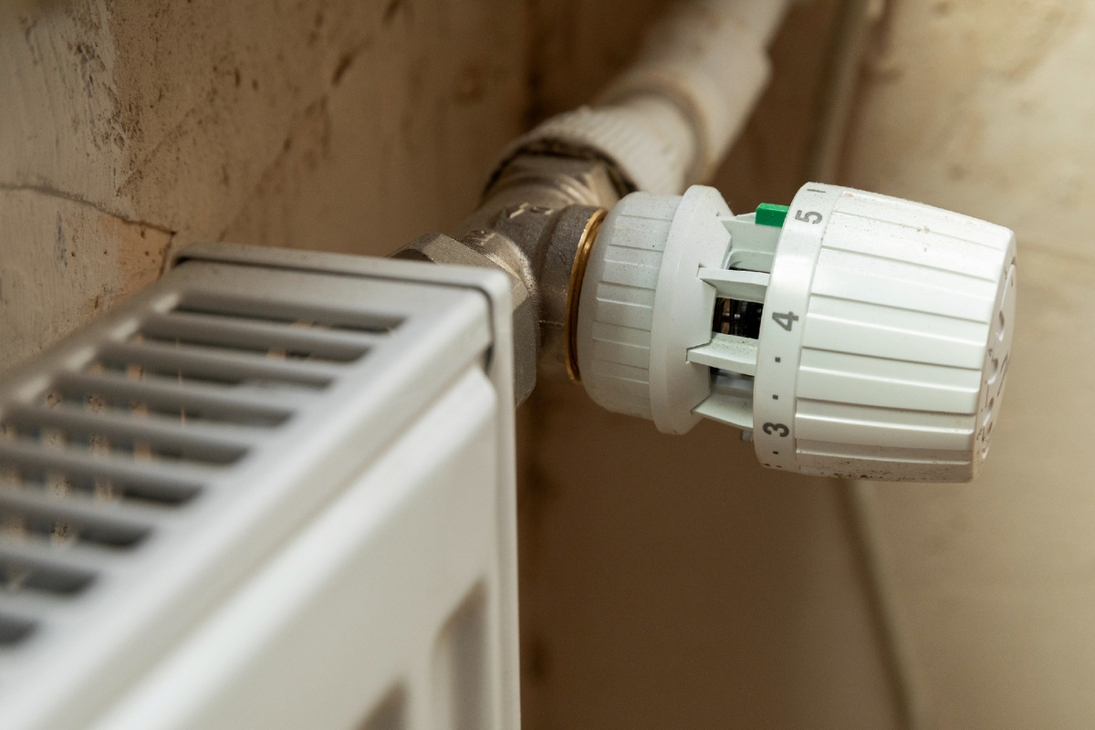 Фото: Aleksey Smyshlyaev/Globallookpress 