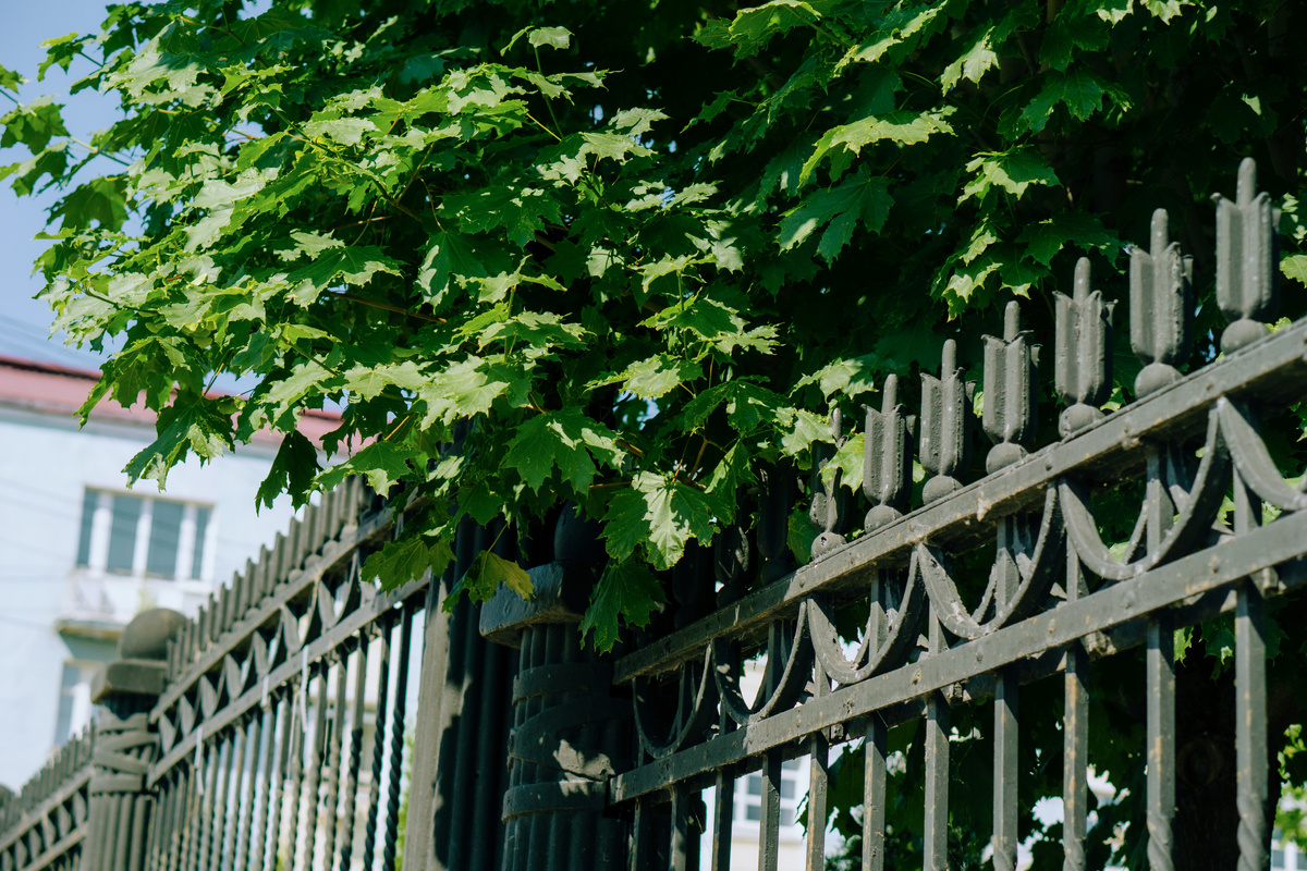    Погода в Ижевске на день: 2 августа ожидаются туман, грозы и до +22°С