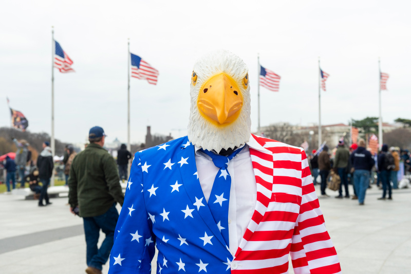    ФОТО: Bryan Regan/shutterstock.com