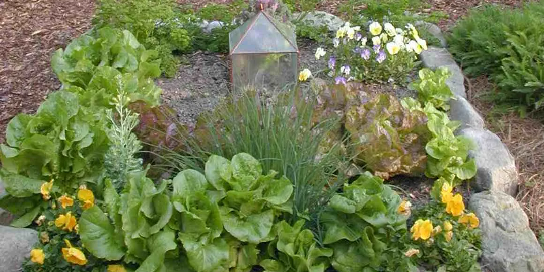 🌸 Дача с изюминкой: как сделать грядки красивыми?