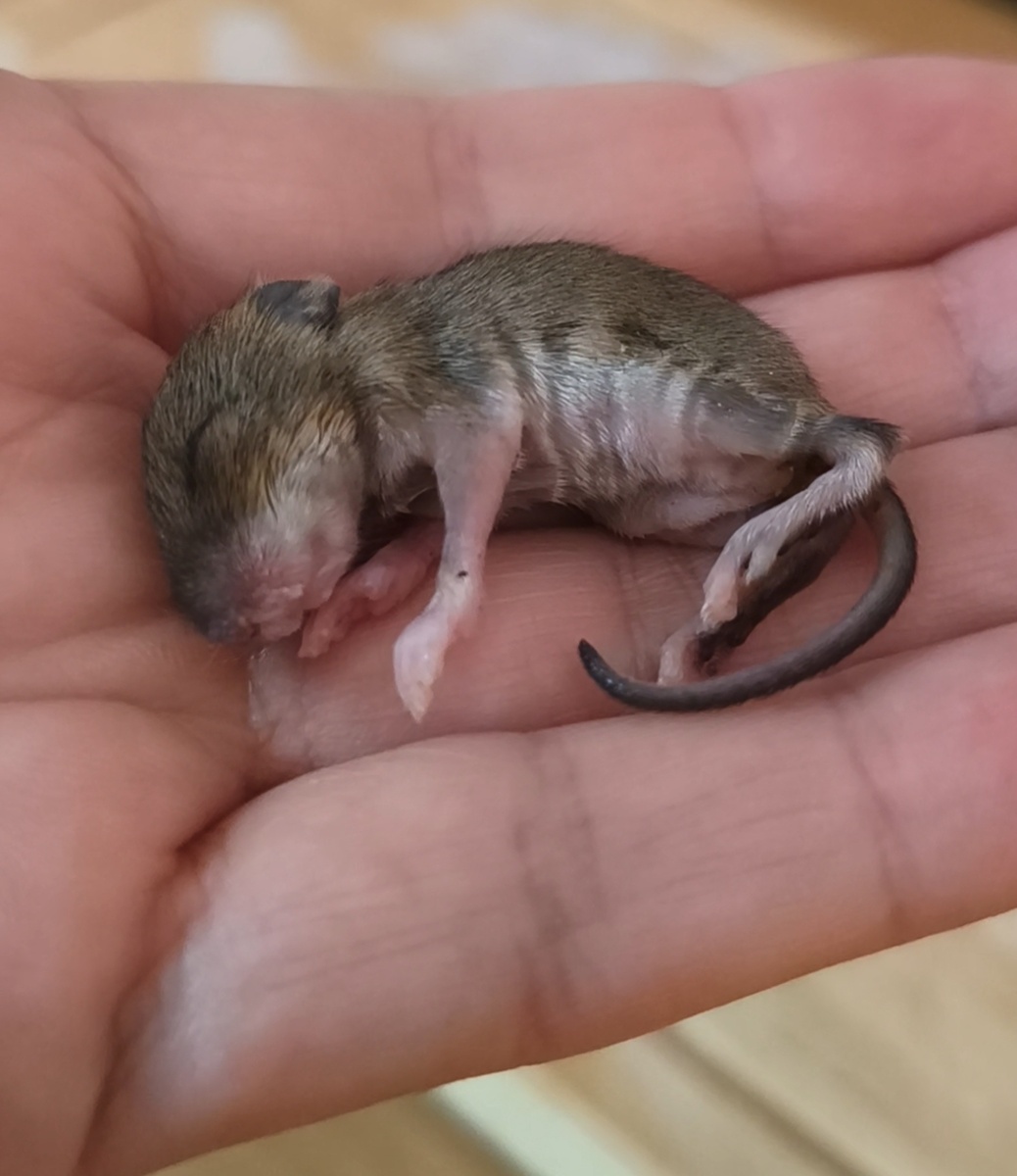 Такая кроха была в начале