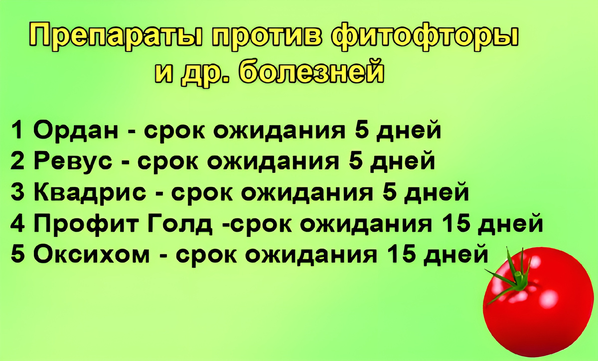 Основные пять препаратов против фитофторы на томатах.