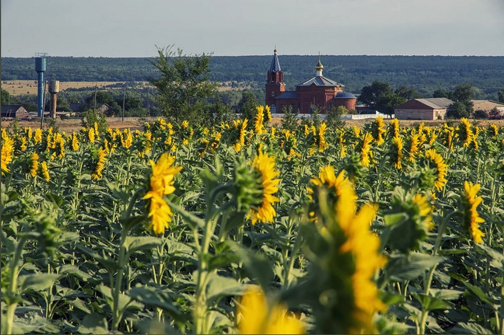 Фото Алексея Коверзнева