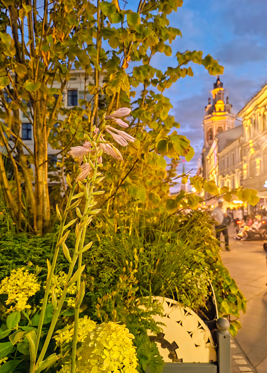 Ул. Никольская