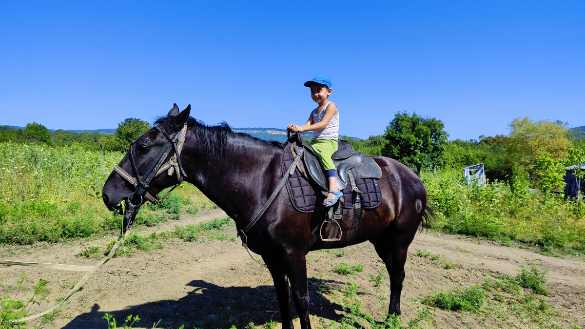 Сынок первый был