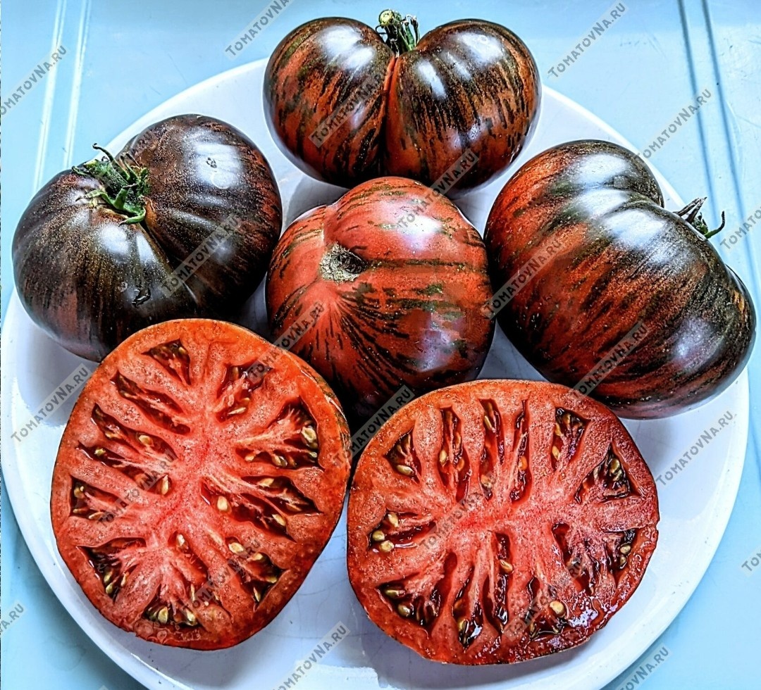 Серый металлический пистолет. Фото из нашего каталога - https://tomatovna.ru/beef-tomato/tproduct/157416293262-tomat-serii-metallicheskii-pistolet-gun