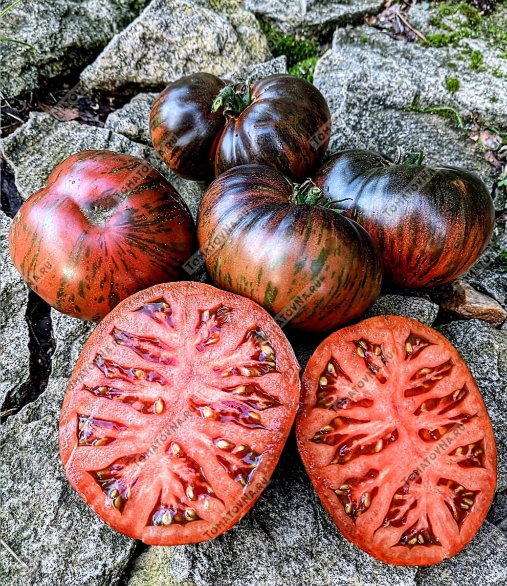 Томат Серый металлический пистолет в разрезе. Фото из нашего каталога 