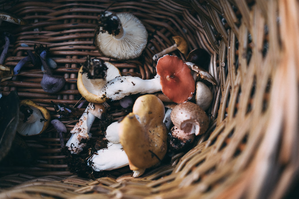 © Annie Spratt / Unsplash