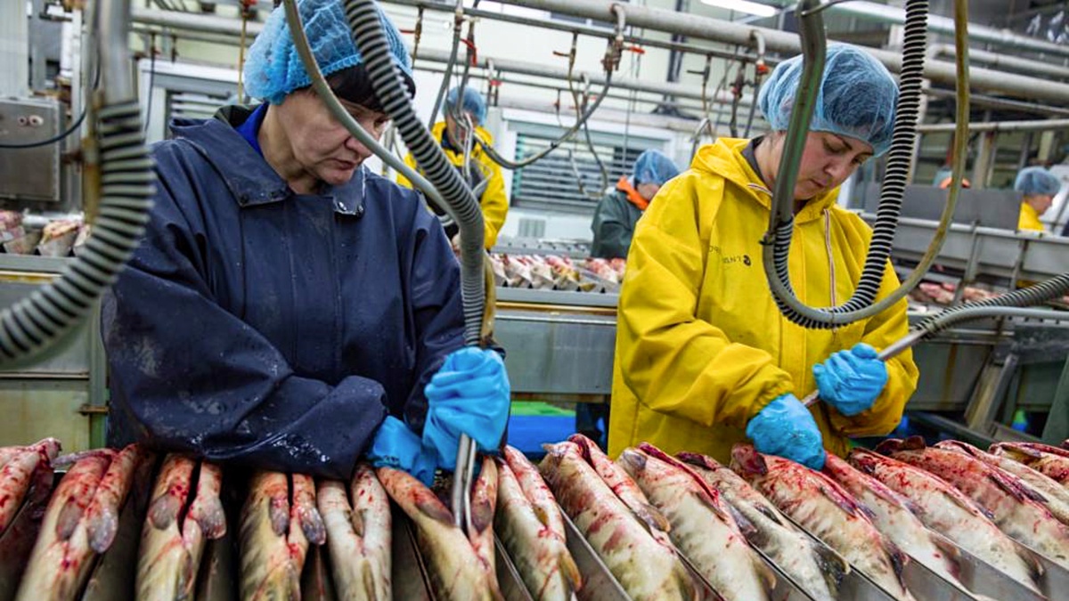 Фото из свободного доступа 