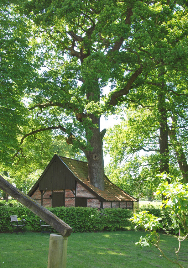 Эрве Шолтен в Брекеленкампе