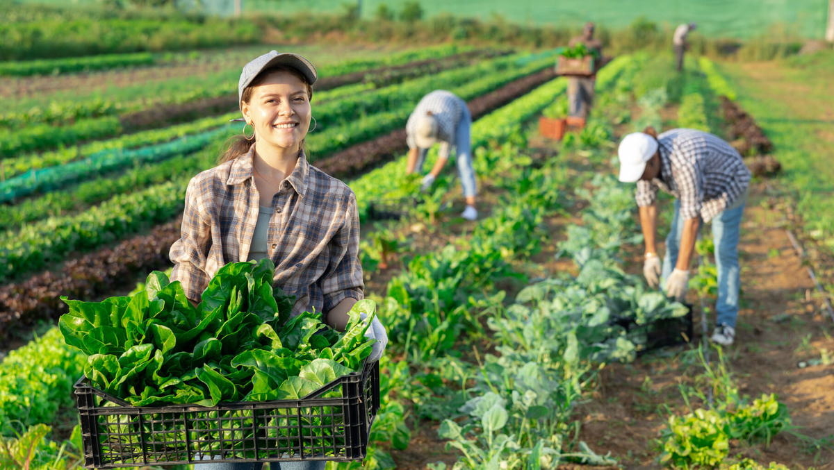    2 августа день становится короче на два часа. Фото: freepik